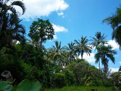 Kila Senggigi Beach Hotel
