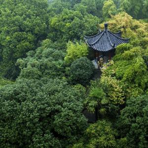 отель Shangri-La Hotel Hangzhou