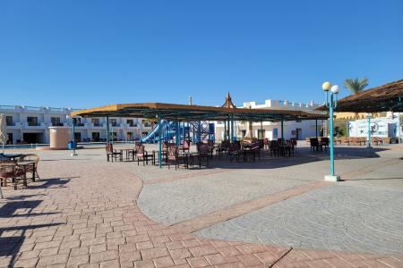 Отель Sharm Cliff Resort в Наама Бей - Египет