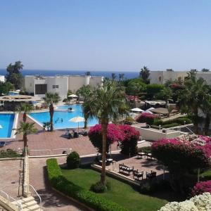 отель Sharm Reef Resort