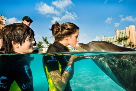 Atlantis Resort Paradise - The Cove Atlantis