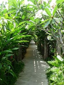 Отель Shewe Wana Boutique Resort and Spa в Чианг Маи - Таиланд