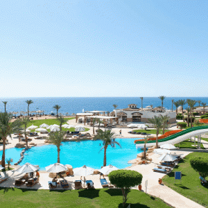 отель Amphoras Beach