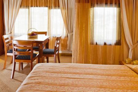 Hotel Sibayak Internasional