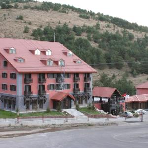 отель Ski Lodge Dedeman