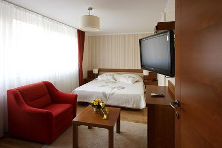 Отель Slatina в Рогашка Слатина - Словения