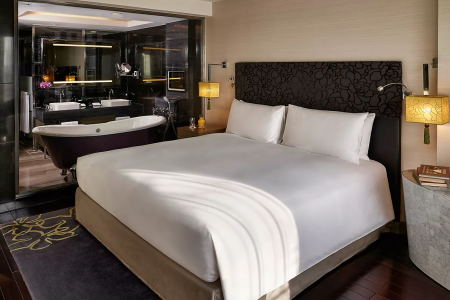 Отель Sofitel Plaza Saigon в Хошимин (быв.Сайгон) - Вьетнам