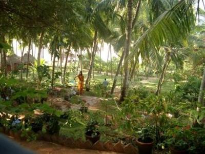 Отель Somatheeram Ayurvedic Health Resort в Керала - Индия