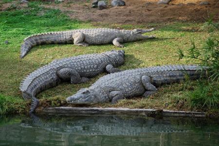 Spa Village Hamat Gader