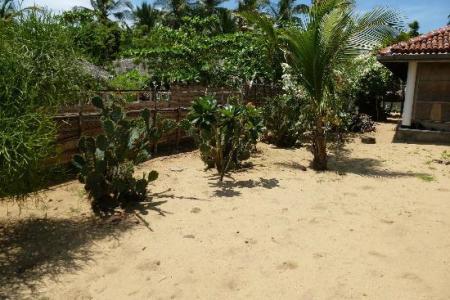 Stardust Beach Hotel