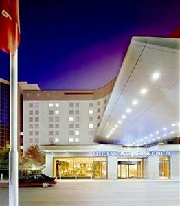 Steigenderger Airport