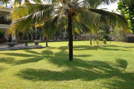 Отель Earl`s Reef Beruwala в Берувела - Шри-Ланка