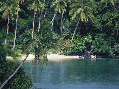Taveuni Island Resort