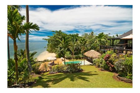 Taveuni Palms