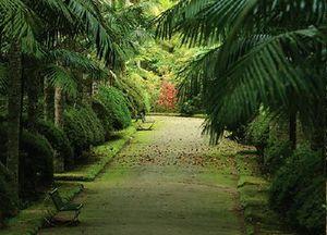 Terra Nostra Garden Hotel