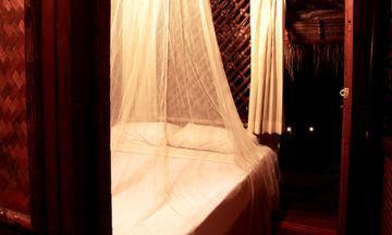 Tolani Resort Koh Kood