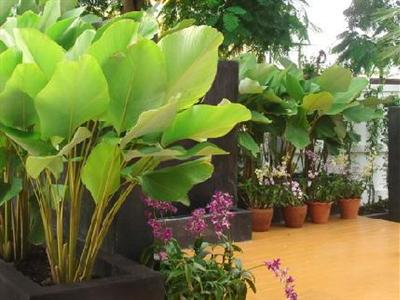 Отель The Ivory Suvarnabhumi Hotel в Суварнабхуми - Таиланд