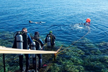 Отель The Three Corners Fayrouz Plaza Beach Resort в Марса Алам, Эль Кусейр - Египет