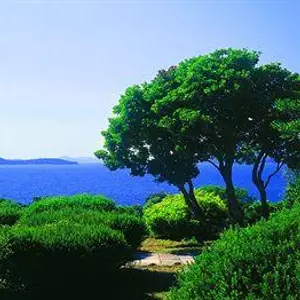 отель Tirena Sunny Hotel by Valamar