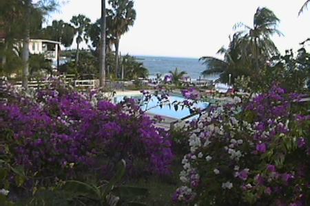 Treasure Beach Hotel