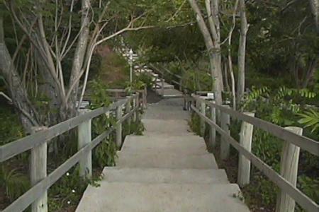 Treasure Beach Hotel