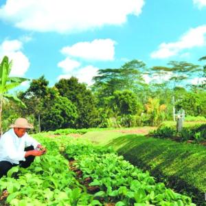 отель Bagus Jati