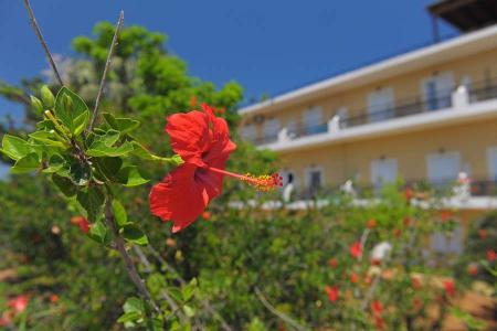 Отель Vantaris Garden в о. Крит-Ханья - Греция