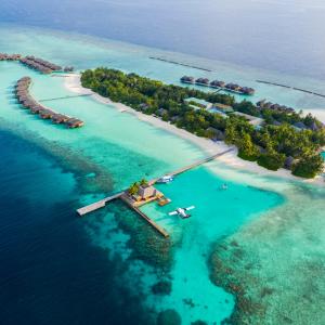 отель Veligandu Island Resort & Spa