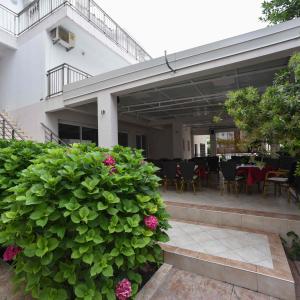 отель Hotel Suzana