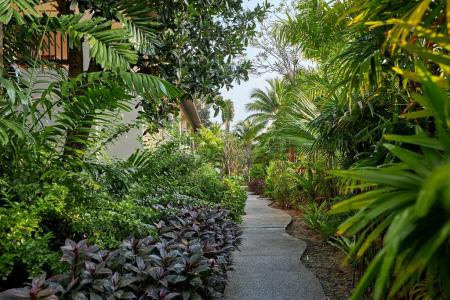 Отель Bandara Spa Resort & Pool Villas Samui в пляж Бо Пхут - Таиланд