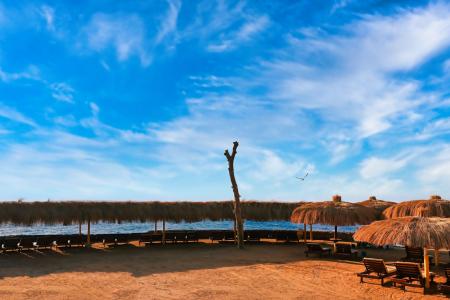 Отель Eagles Downtown Zahabia Resort & Aqua Park в Хургада - Египет