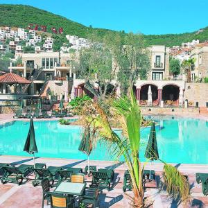 отель Zeytinada