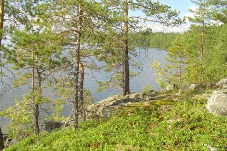 Отель Авиаретро в Карелия - Россия