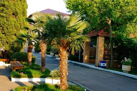 Автотранспортник России