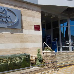 отель Адельфия