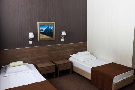 Отель Алтайский замок в Белокуриха - Россия