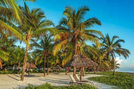 Отель Baraza Resort & Spa в о. Занзибар - Танзания