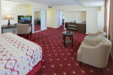 Отель Ani Plaza в Ереван - Армения