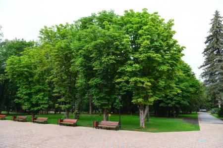 Санаторий Архангельское 