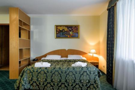 Отель Атлас парк-отель в Домодедово - Россия