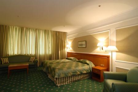 Отель Альянс Бородино в Москва - Россия