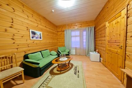 Отель HELIOPARK Eco & Spa Medical Karelia в Карелия - Россия