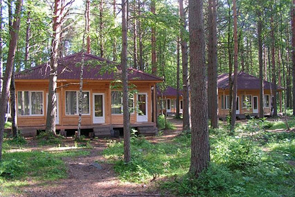 Деревня Александровка