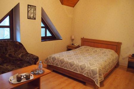 Отель Дом сказочника в Светлогорск - Россия