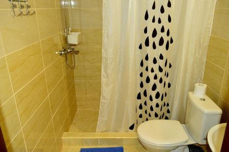 Камелия-Кафа