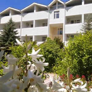 отель Корона