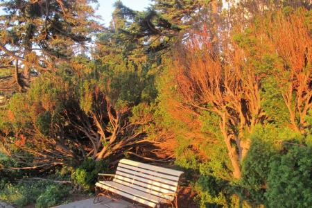 Отель Курортный комплекс Лиго Морская в Симеиз - Россия