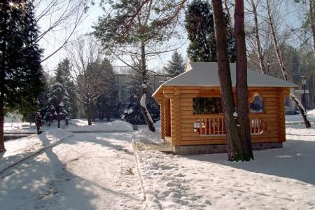 Моршинский