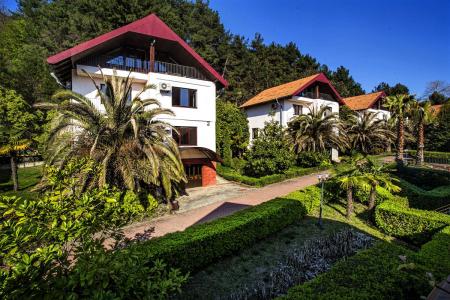 Отель Дивный Оздоровительный Комплекс в Лоо - Россия