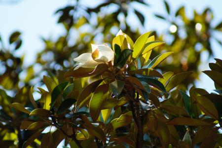 Отель Муссон в Ялта - Россия